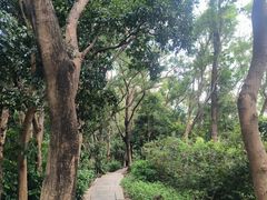 -莲花山公园