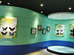 -上海昆虫博物馆