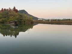 -CGV影城(滨江天街IMAX店)