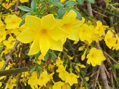 -亚龙湾中心广场