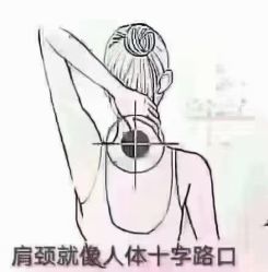 -香薇妮丝·定制减肥·身材管理