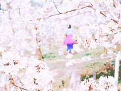 -樱桃山旅游景区
