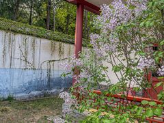 -香山公园