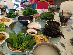 -上海多利农业发展有限公司