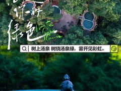 -天门沟九州驿站树上汤泉