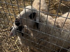 -北京山里寒舍度假酒店