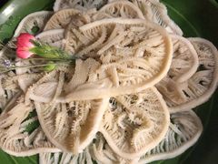 千层肚-九鼎轩火锅大排挡