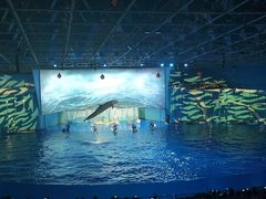 -海合安青岛极地海洋公园