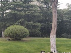 -云龙湖旅游景区