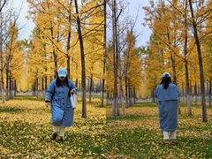 -汉长安城未央宫国家考古遗址公园