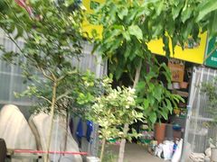 -三圣花乡旅游区