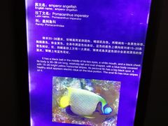 -福州罗源湾海洋世界旅游区