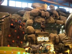 -卡通尼·Safari非洲探索乐园·生日会(金桥国际商业广场店)