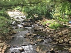 -广州市石门国家森林公园