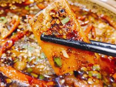 毛血旺-川天喉重庆江湖菜