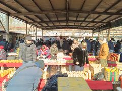 -中环花鸟鱼虫市场