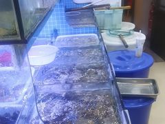 -江南村海鲜馆(洞头店)