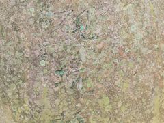 -羚羊峡古栈道森林公园