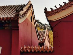 -遵化市禅林寺古银杏风景园