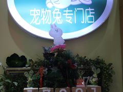 -宠物兔专门店(天丰利市场店)