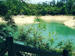 -广州市流溪河国家森林公园