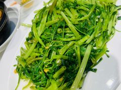 -日日香卤鹅饭店·澄海狮头鹅(澄海店)