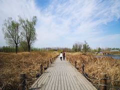 -马家湾湿地公园