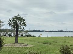 -漕湖湿地公园