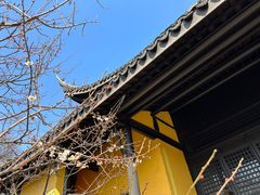 -红梅公园
