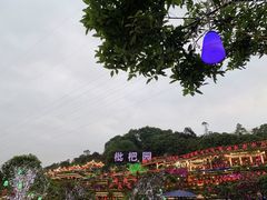 -枇杷园食为鲜火锅(南山店)