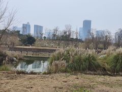 -桂溪生态公园