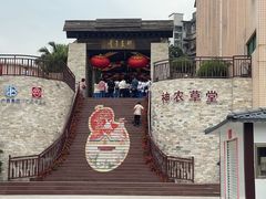 -广州神农草堂中医药博物馆