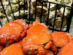 -常州富力喜来登酒店 Feast盛宴标帜西餐厅(新北万达广场店)