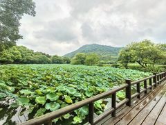 -八卦田遗址公园