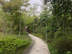 -聚龙山公园