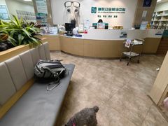 -美联众合动物医院·24h转诊中心