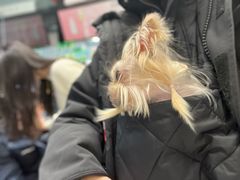 -FAELING PETS美天灵宠物(合生汇店)