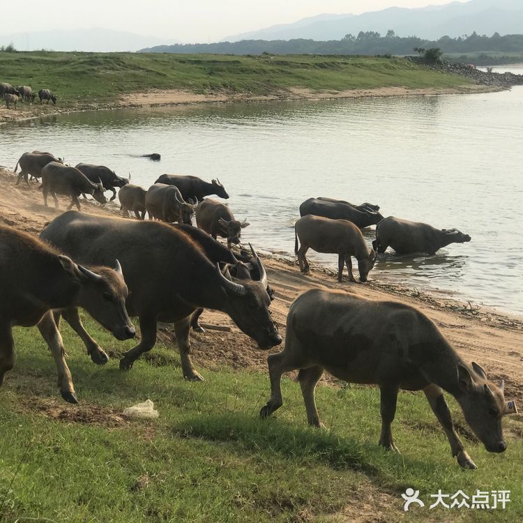 清远石角轻越野圣地