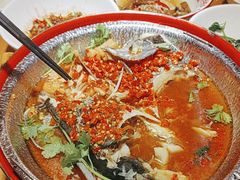 -十二点·辣椒炒肉(南山店)