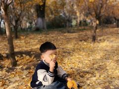 -长白岛森林公园