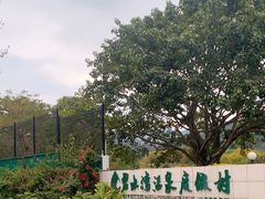 -碧水湾温泉