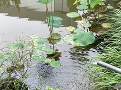 -十里红妆博物馆