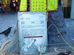-南楚古都