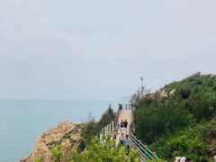 -广东惠东海龟国家级自然保护区