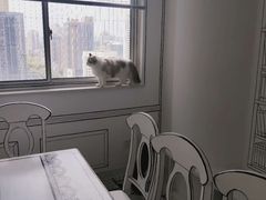 -白夜2D咖啡馆