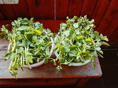 薄荷叶-松涛居·荔枝柴烧鹅(三墩总店)