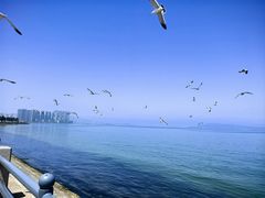 -悦海公园