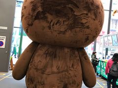 -line friends(明洞旗舰店)