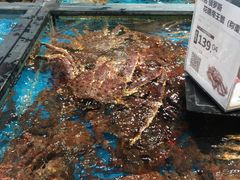 -盒马鲜生(皇庭广场店)