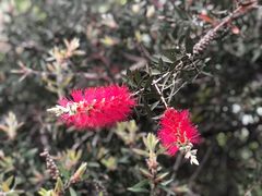 -苏州河梦清园环保主题公园